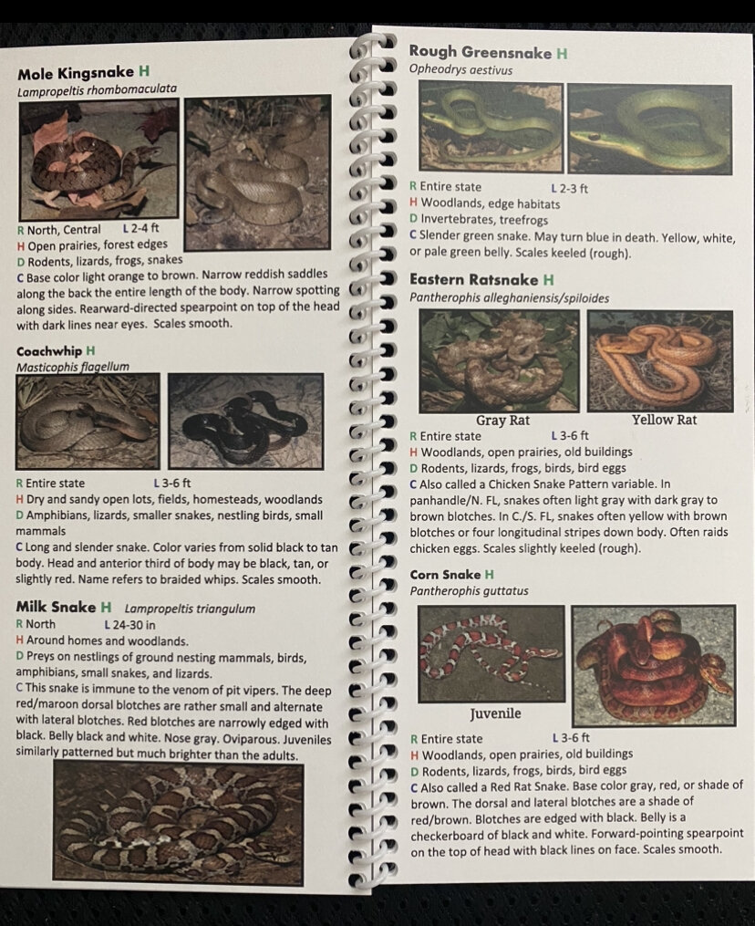SNAKES OF GEORGIA QUICK REFERENCE FIELD GUIDE - Image 3