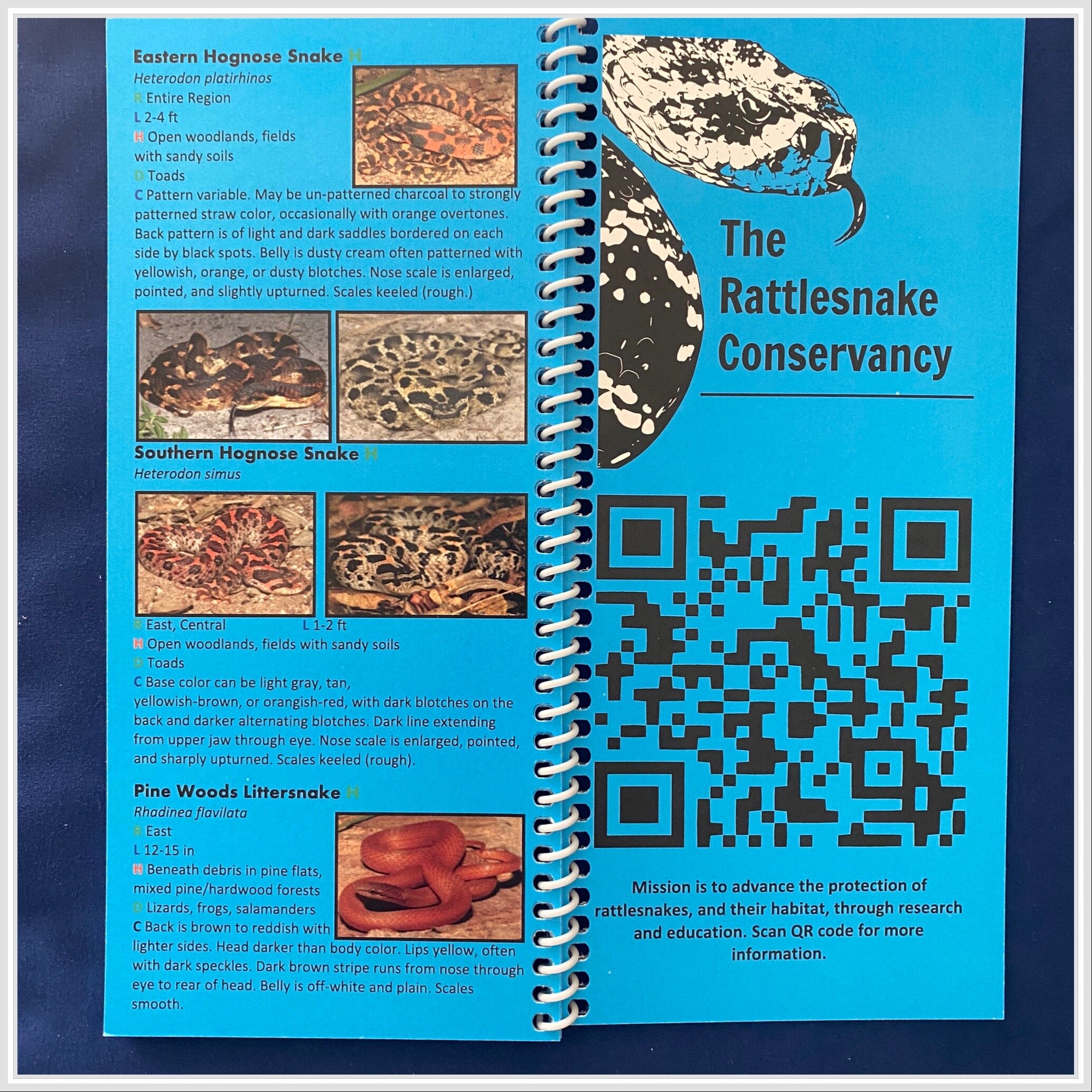 SNAKES OF THE CAROLINAS QUICK REFERENCE FIELD GUIDE - Image 2