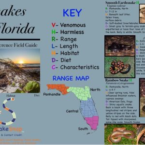 SNAKES OF FLORIDA DIGITAL QUICK REFERENCE GUIDE